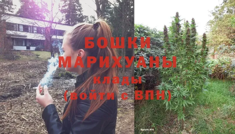 Конопля White Widow  Макушино 